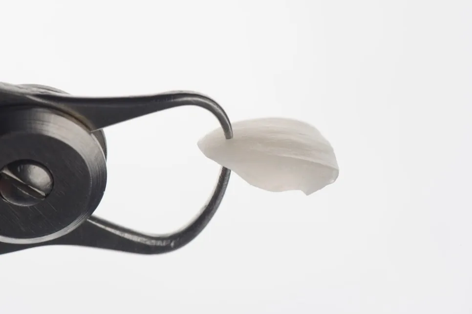 A single thin ceramic veneer held in metal dental tweezers against a white background.